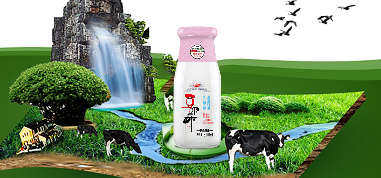 宿州豆你乐食品有限公司